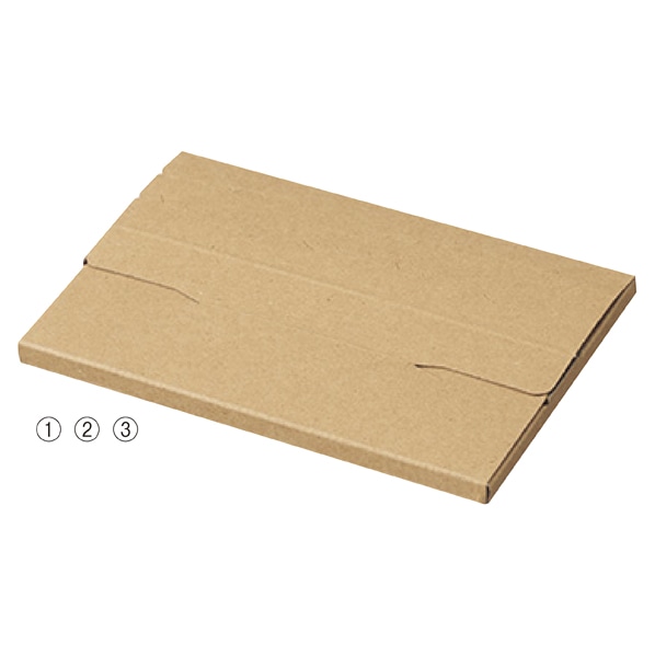 【10枚】ラクポスボックス メール便ケース 26.5×19×3cm