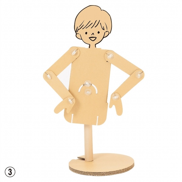 段ボール製POPマネキン半身 子供(キッズ) 段ボール製POPマネキン子供 半身 無地