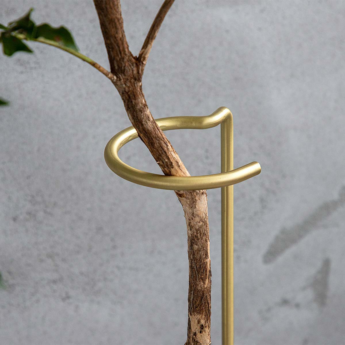 使用例部分アップ