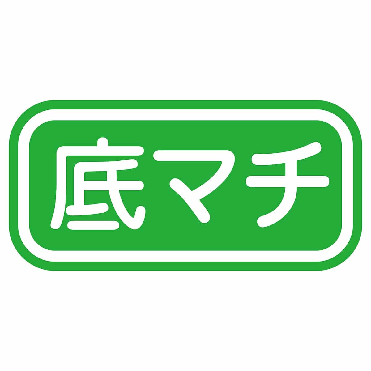 【20枚】 梨地リボン付きギフトバッグ ホワイト〔ストエキオリジナル〕 17×28[18]×底マチ8cm