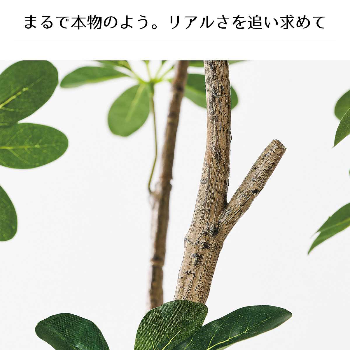 シェフレラ(人工樹木)〔ストエキオリジナル〕