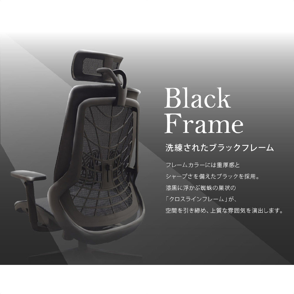 ウェルビーチェアブラックフレーム  ブラック