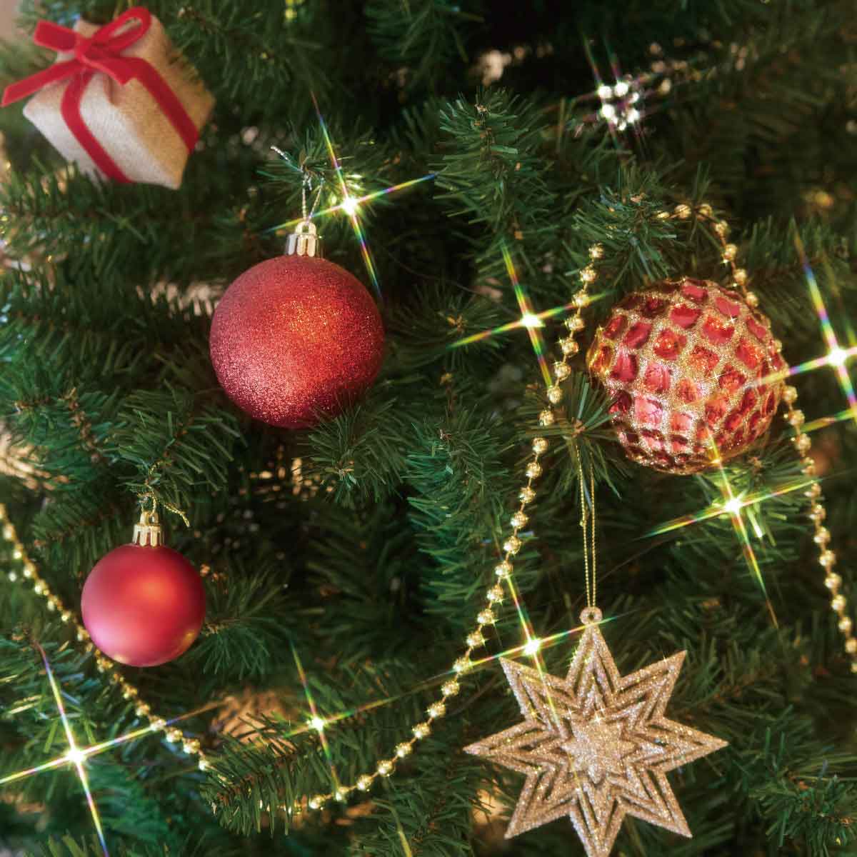 ウッドポットクリスマスツリーセット レッド［ストエキオリジナル］ 高さ150×幅84cm