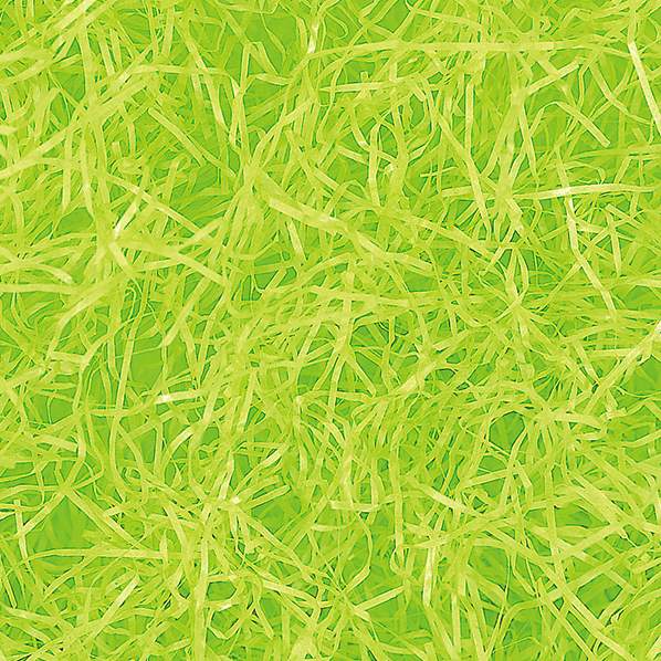 フエールパッキン ブラウン