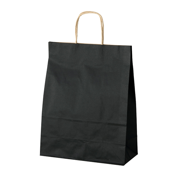 カラー手提げ紙袋 黒 21x12x25cm 【通販】ストア・エキスプレス