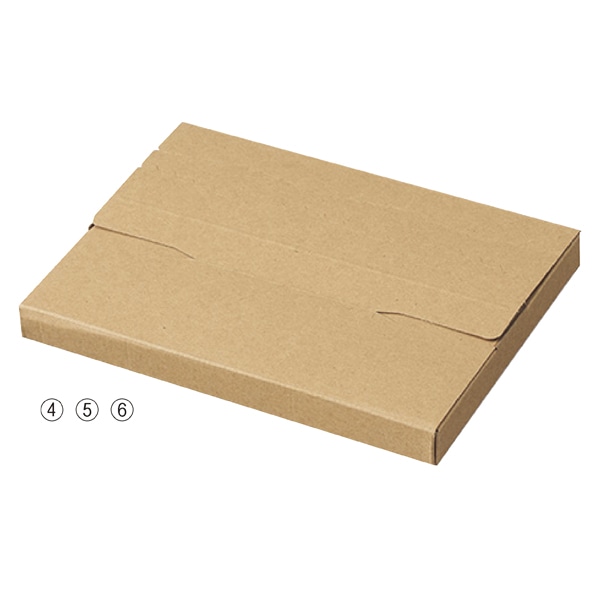 【10枚】ラクポスボックス メール便ケース 26.5×19×3cm