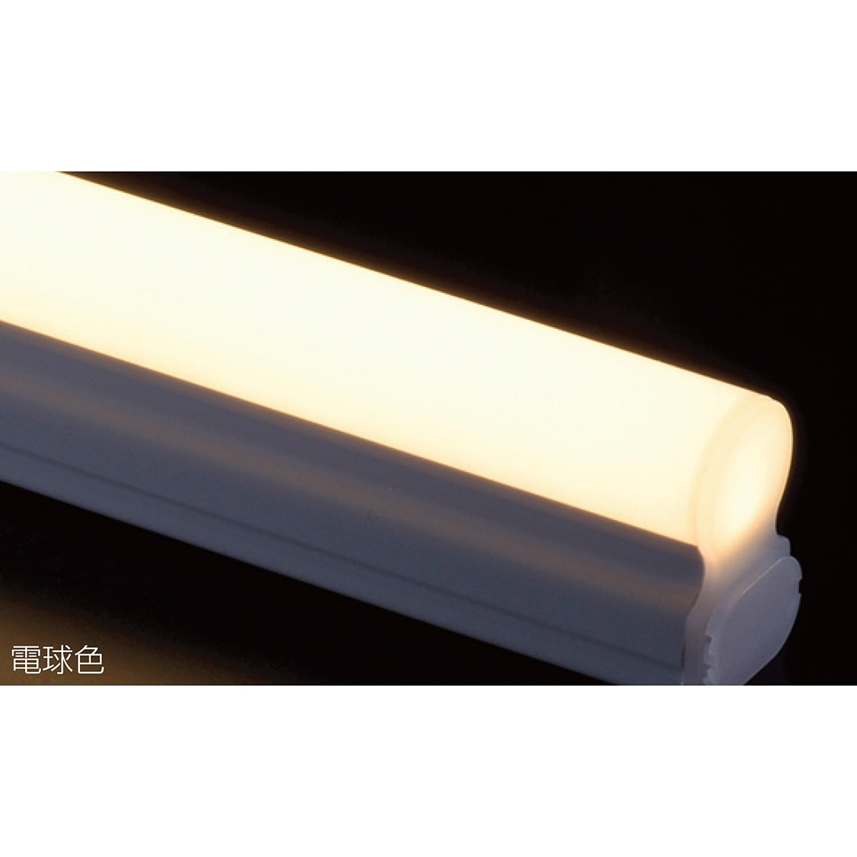 LEDイーブライトスリム 60cm 昼光色