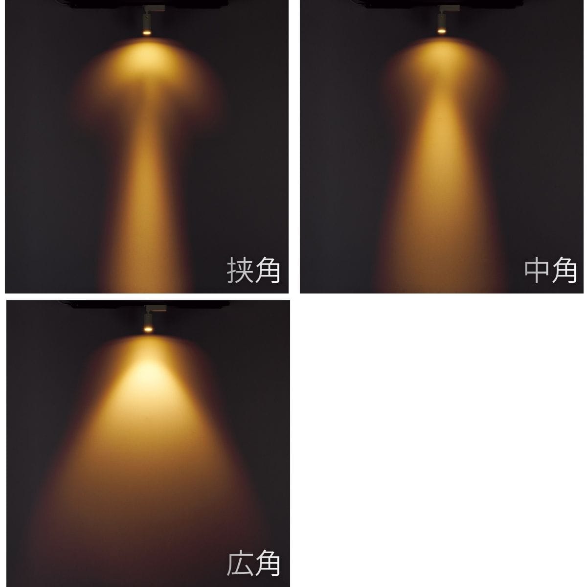 電球色 色温度3000K