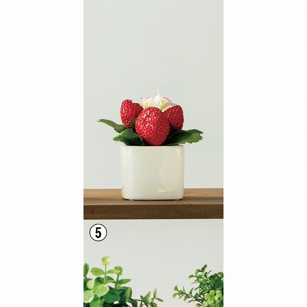 キューブポット光触媒加工 フェイクグリーン インテリア リアル 通販 ストア エキスプレス