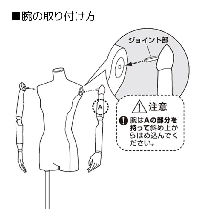 婦人腕付き芯地張トルソー〔ストエキオリジナル〕 9号 ステンレス調