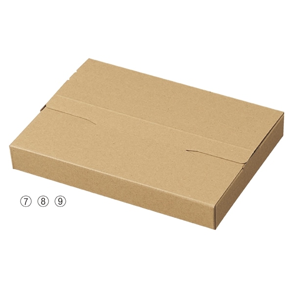 【10枚】ラクポスボックス メール便ケース 26.5×19×3cm