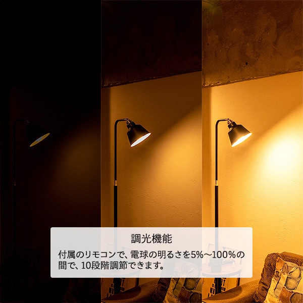 コーニッシュコラット フロアライト 電球なし ブラック