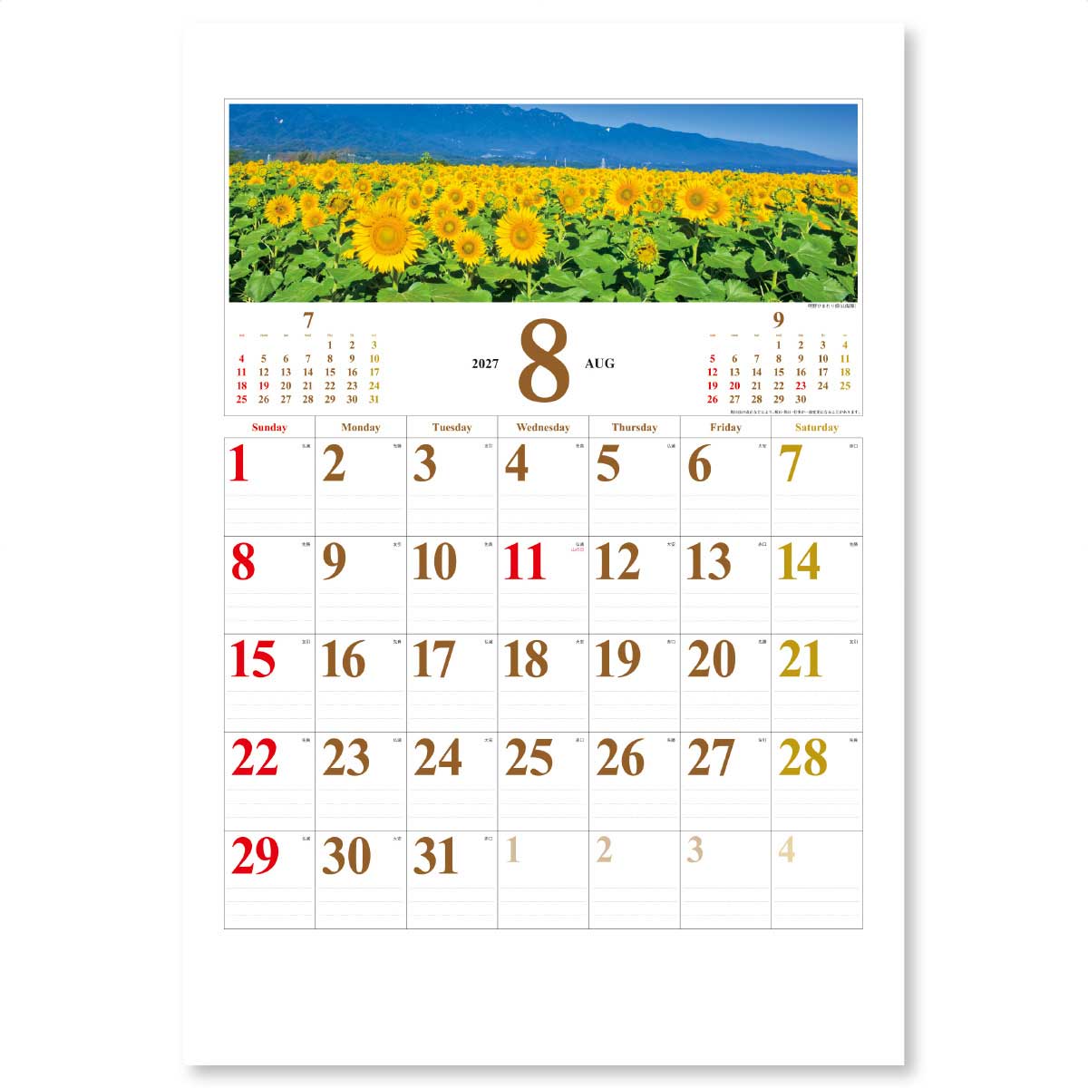 8月 明野ひまわり畑(山梨県)