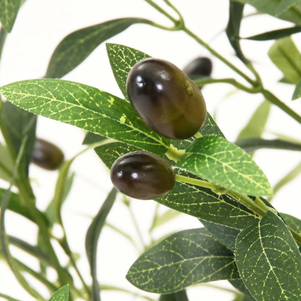 (1)H150cm 部分アップ