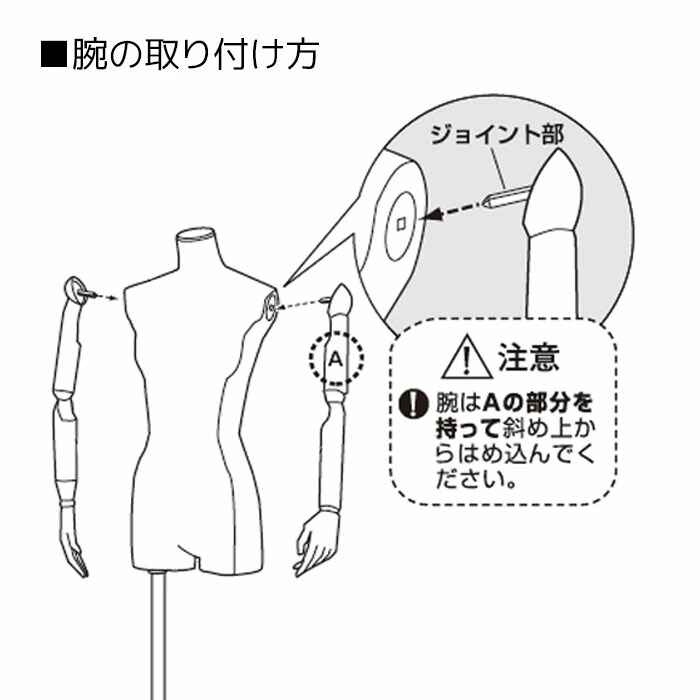 婦人腕付き芯地張トルソー〔ストエキオリジナル〕 9号 スチールベース