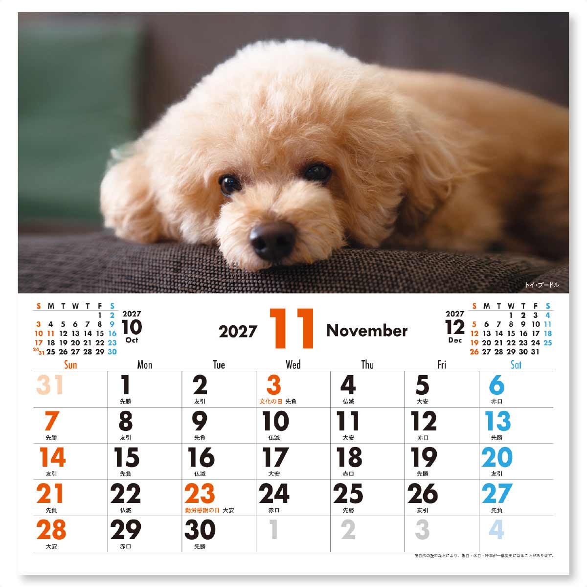 11月
