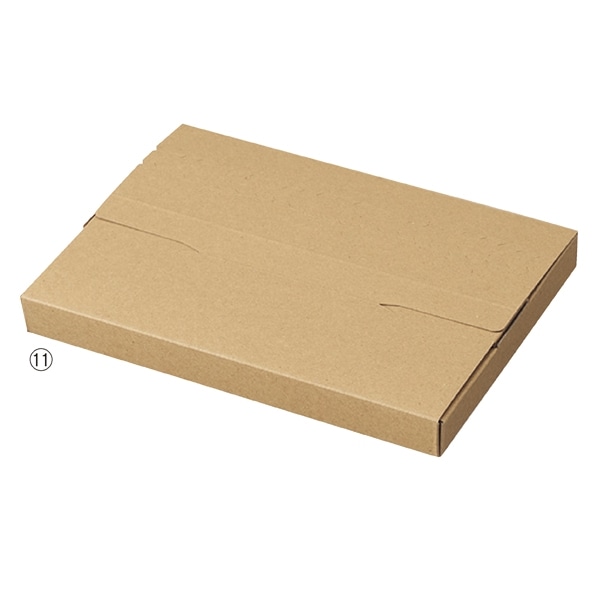 【10枚】ラクポスボックス メール便ケース 26.5×19×3cm