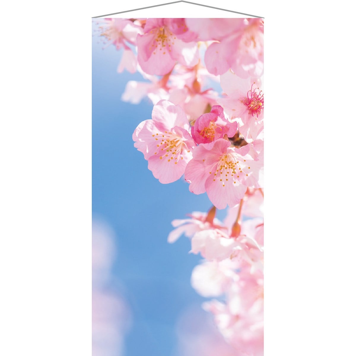 タペストリー 桜花びら 90 180cm
