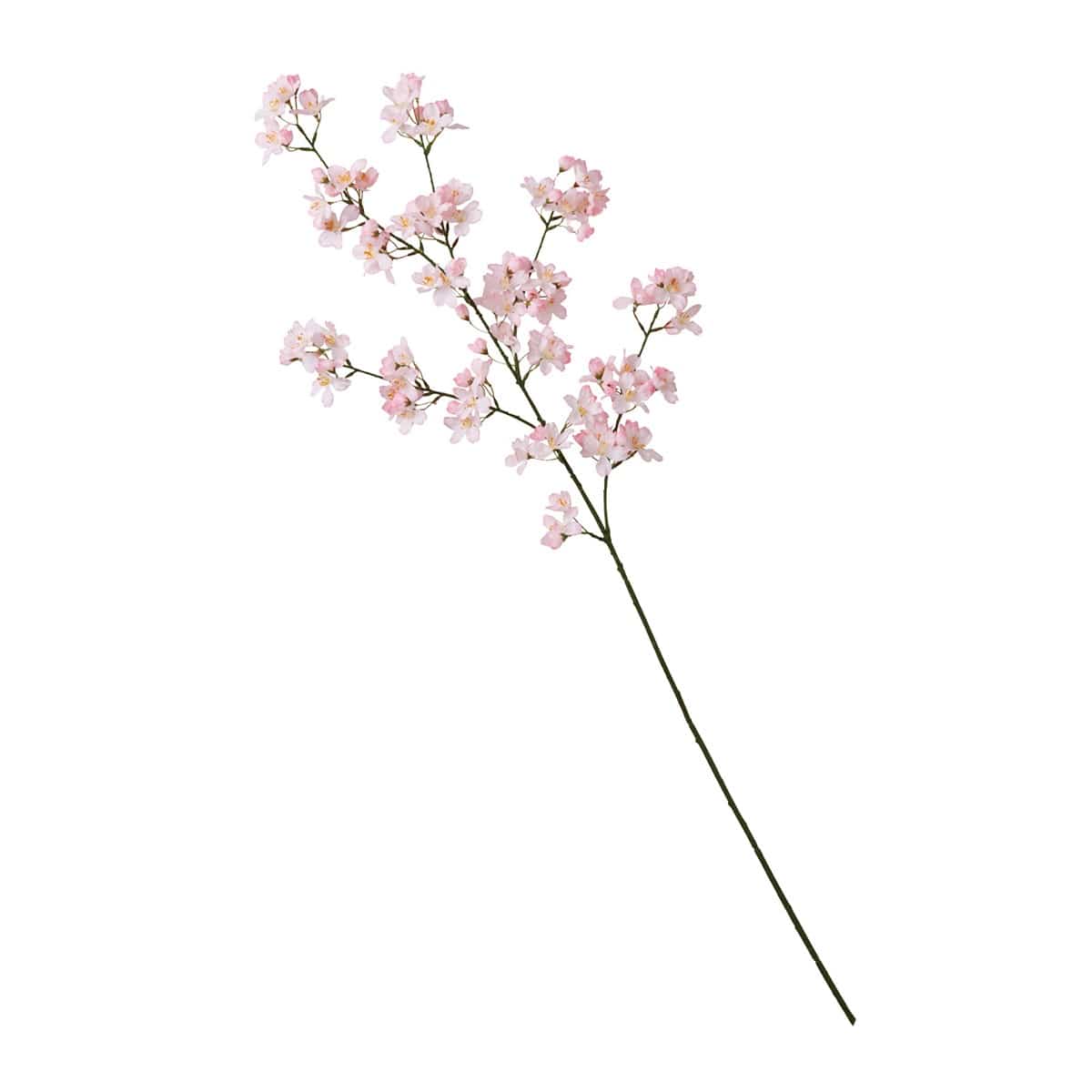 彼岸桜