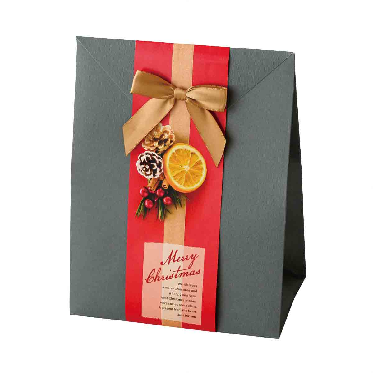 クリスマスフォト掛け紙セットギフトバッグセット クリスマスラッピング プレゼント ギフト シンプル 使いやすいデザイン おしゃれ 雑貨 アパレル 高級感 お菓子 スイーツ 焼き菓子 通販 ストア エキスプレス