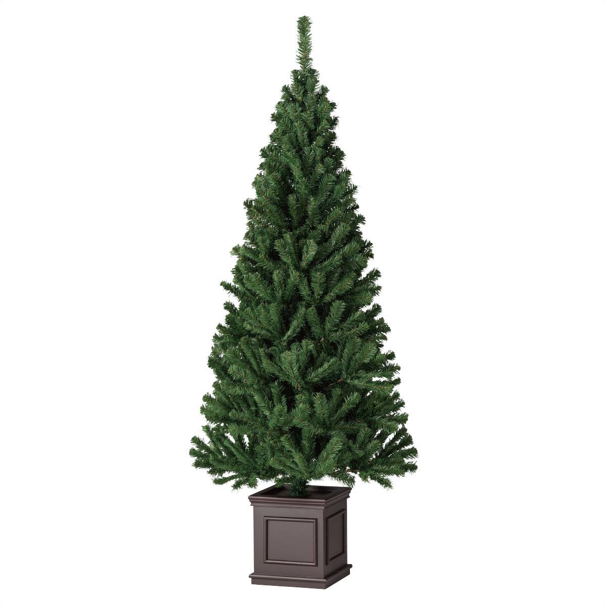 買得 ヌードツリー180cm turbonetce.com.br
