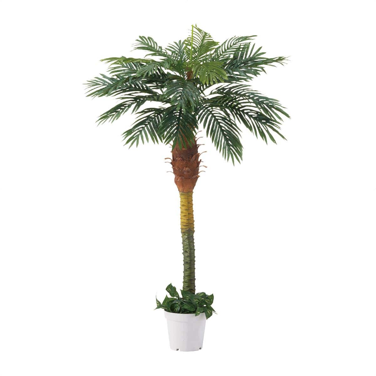 鉢付きデラックスパームツリー 人工観葉植物 180cm ストエキオリジナル
