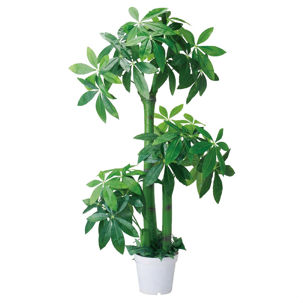 人工観葉植物 H150cm ストエキオリジナル
