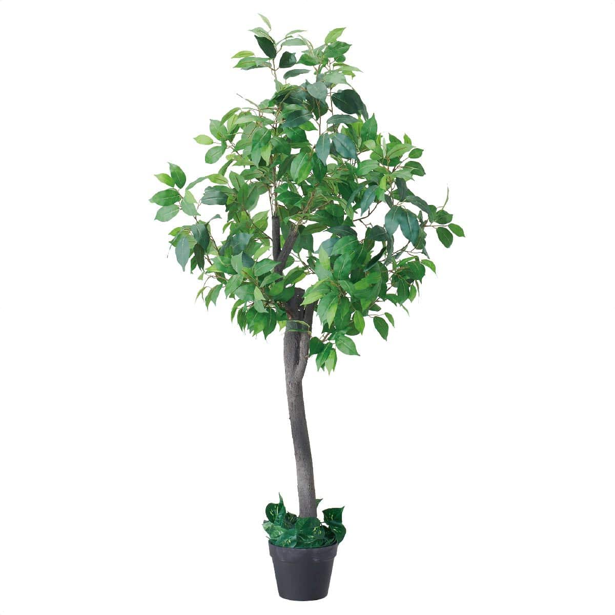 人工観葉植物 H150cm ストエキオリジナル