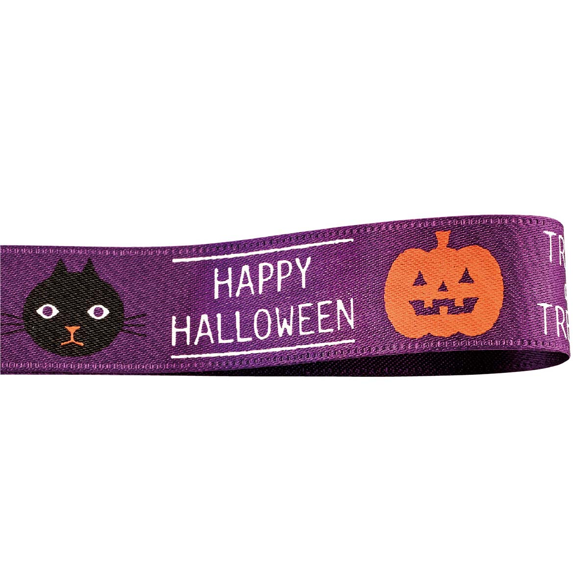リボン 1巻 ハロウィンデザインリボン ブラックハロウィン 【通販】ストア・エキスプレス