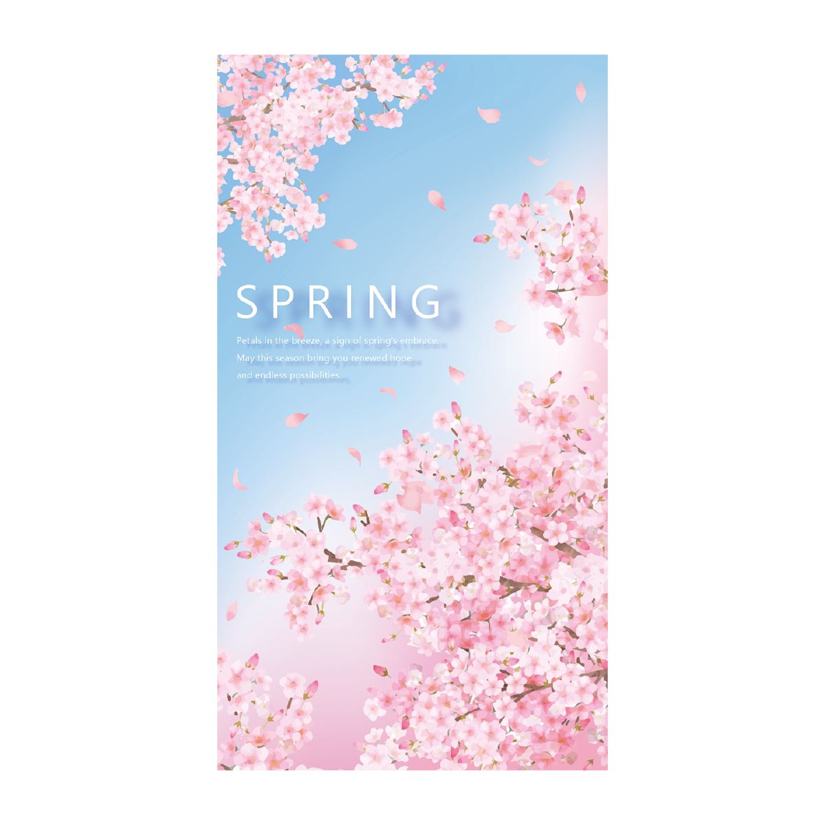 バックグラウンドシート 桜と青空120×220cm【防炎加工】