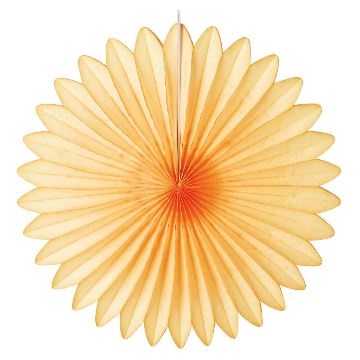 (6)アプリコット