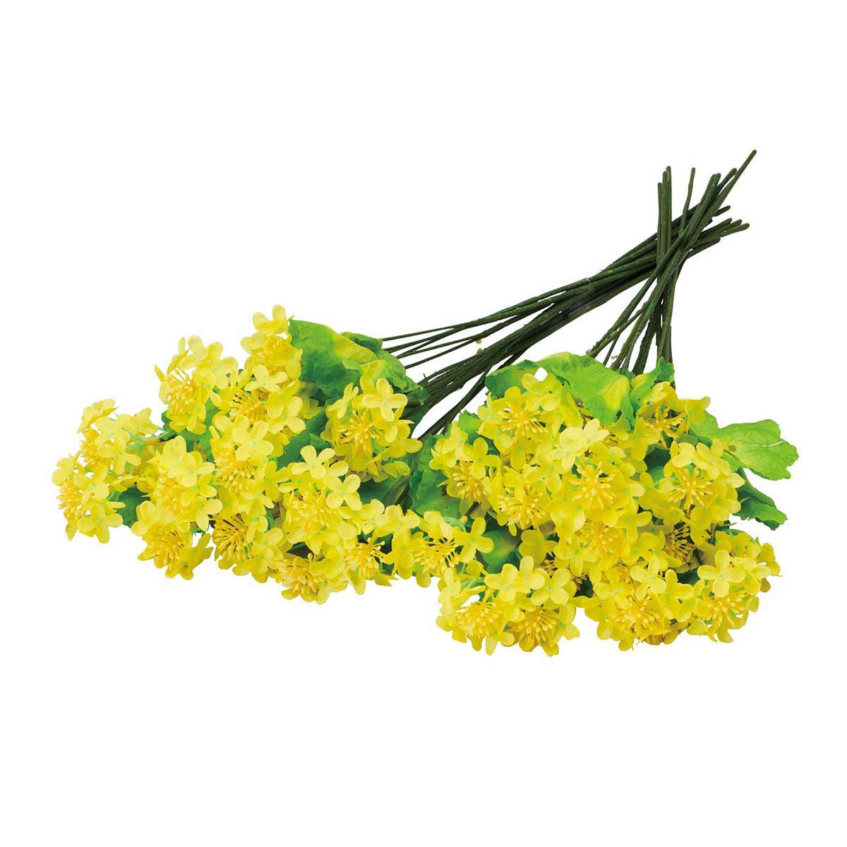 24本 菜の花スプレーセット