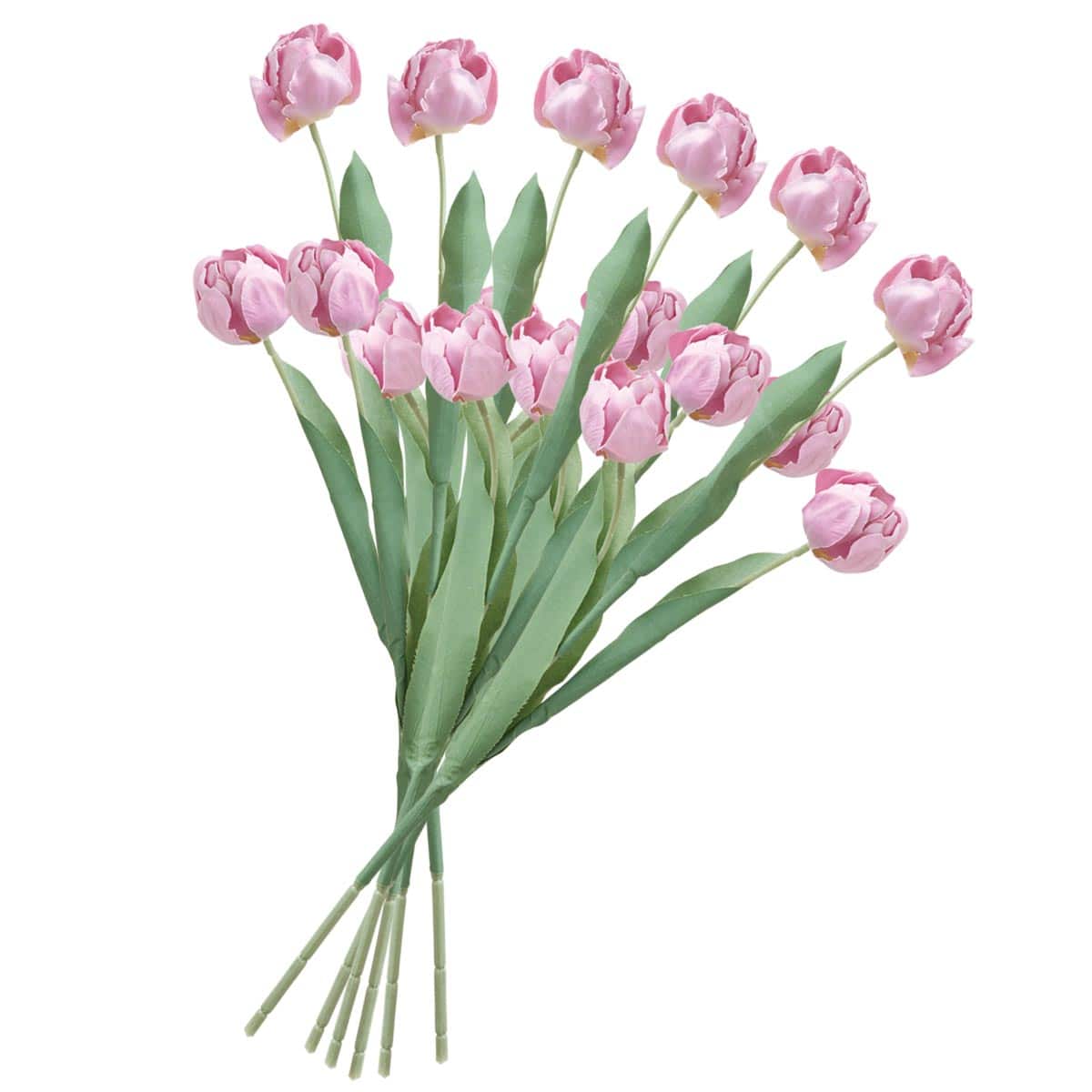 (1)ライトピンク