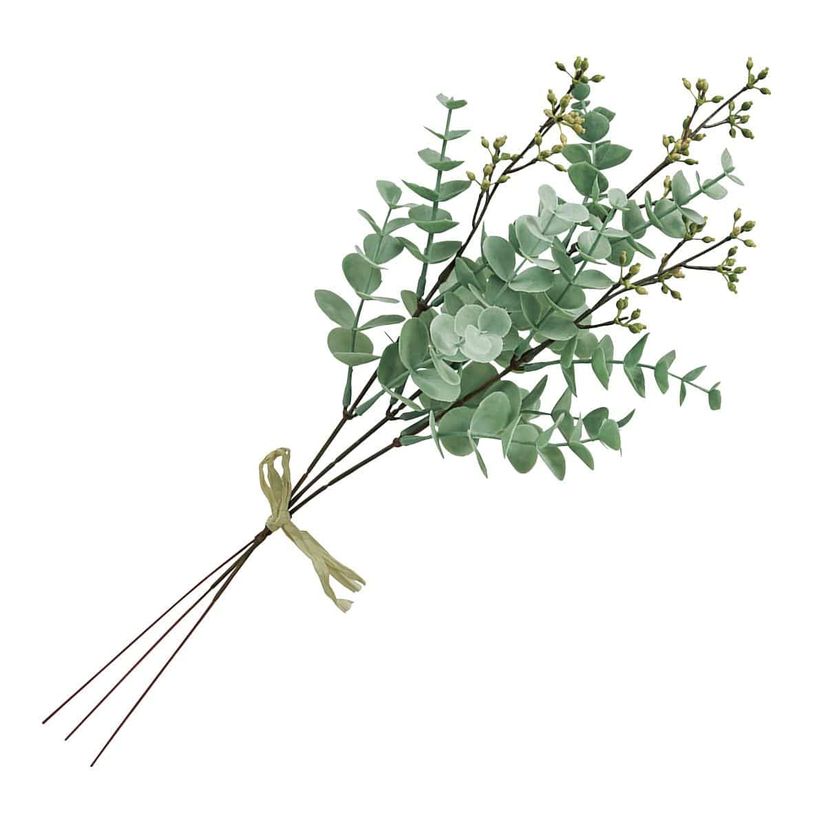 (1)シルバーグリーン