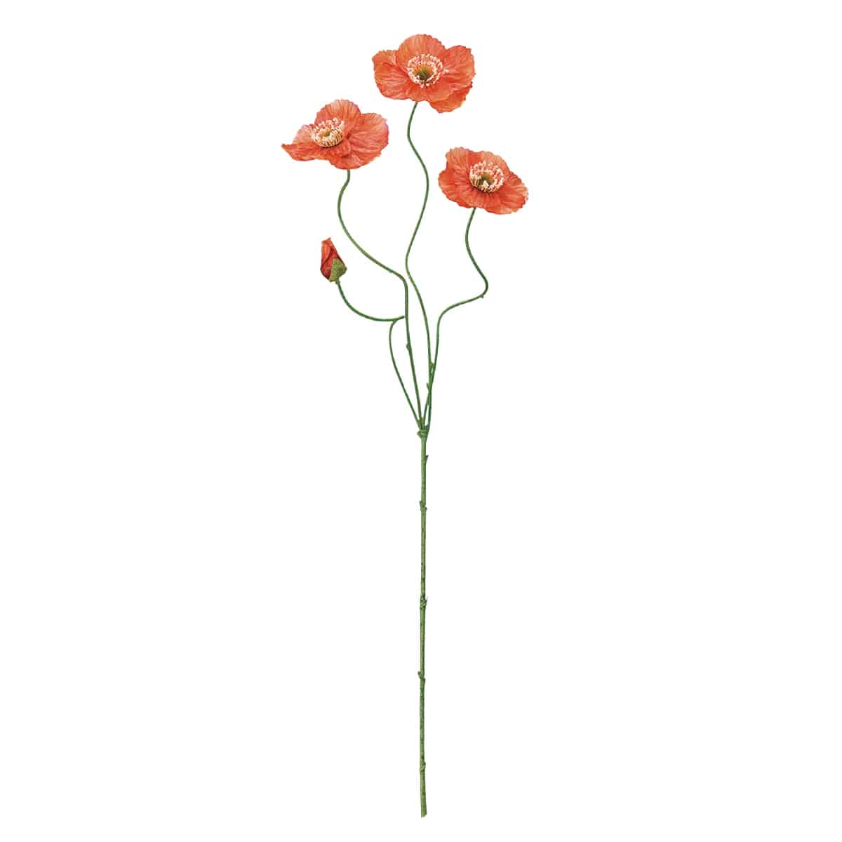 (2)ダークオレンジ