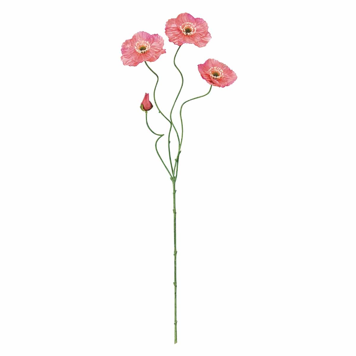 (4)ダークピンク