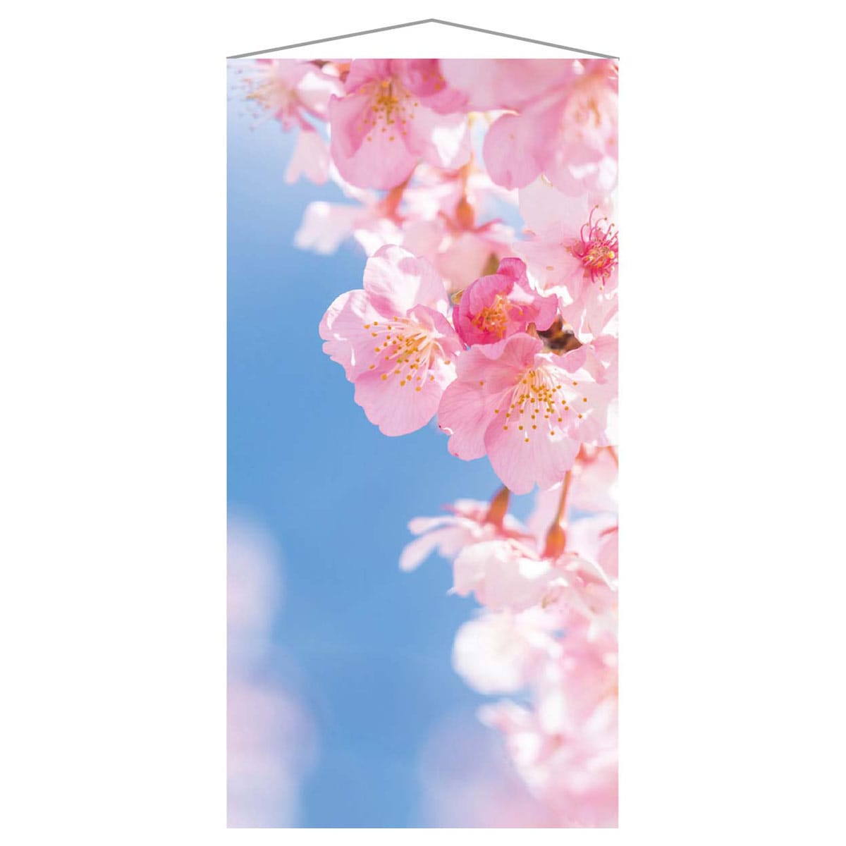 タペストリー 桜花びら 【防炎加工】