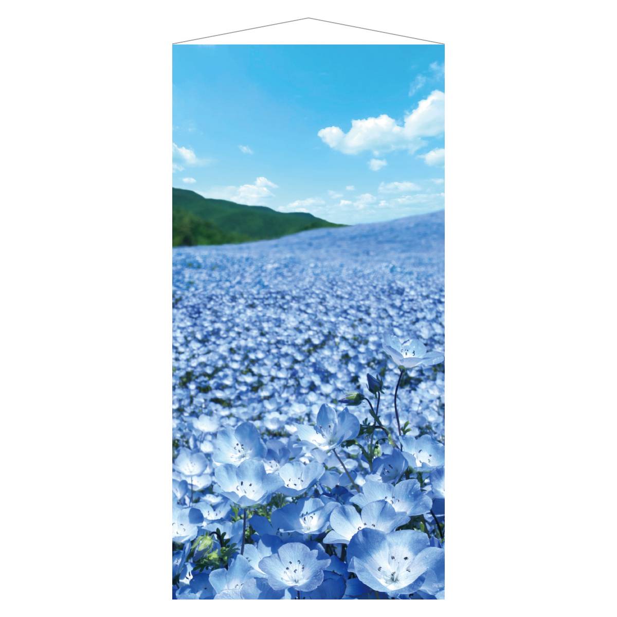 タペストリー ネモフィラ【防炎加工】 