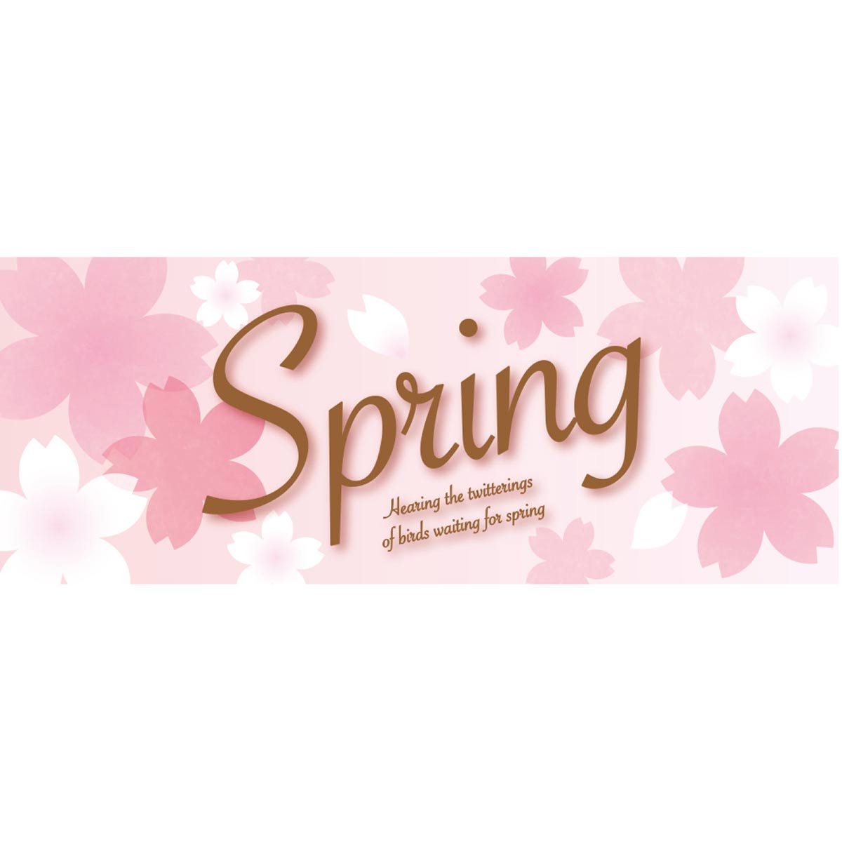 10枚 パラポスターPOP さくらスプリング