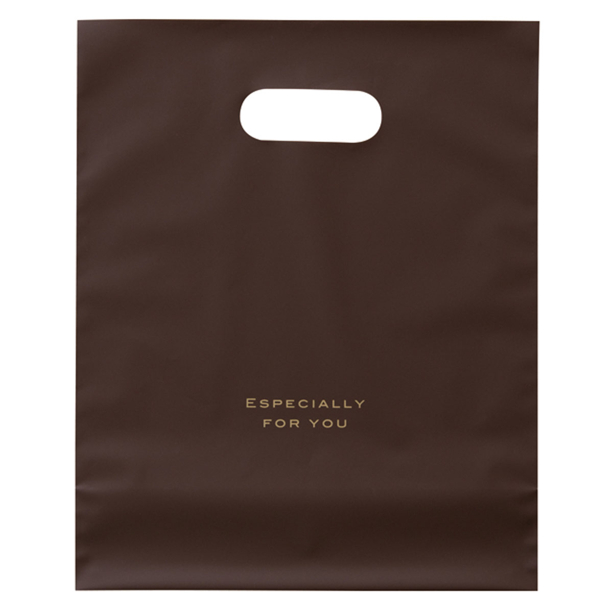 (2)20×24.5×底マチ9cm