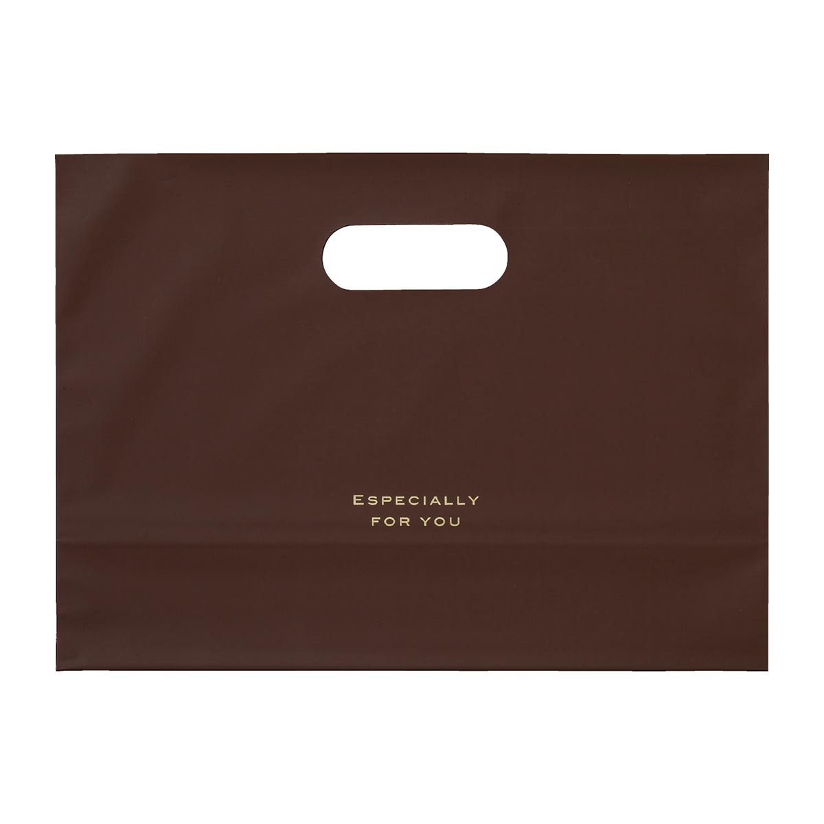 (3)29×21×底マチ10cm