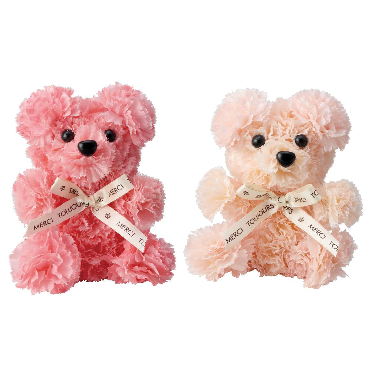 カーネーションベア