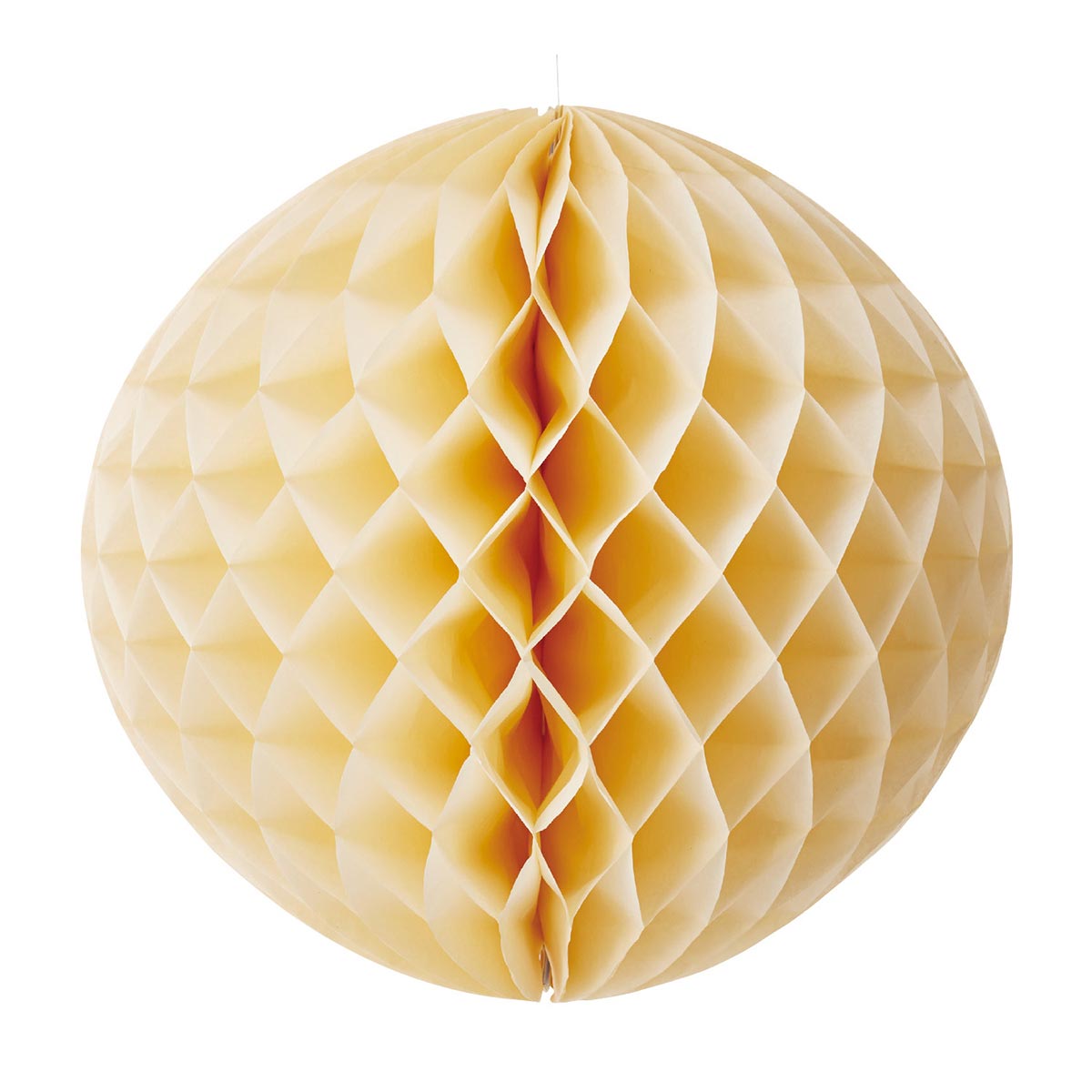 (2)アイボリー 大