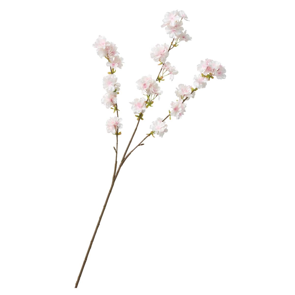 (3)ホワイトピンク