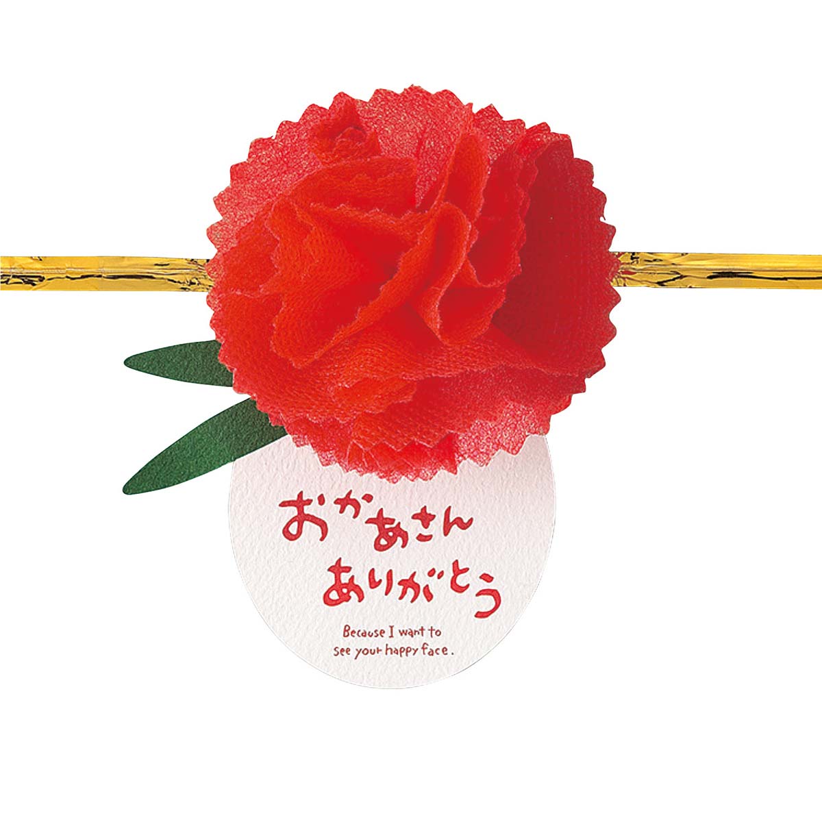 (1)カーネーション