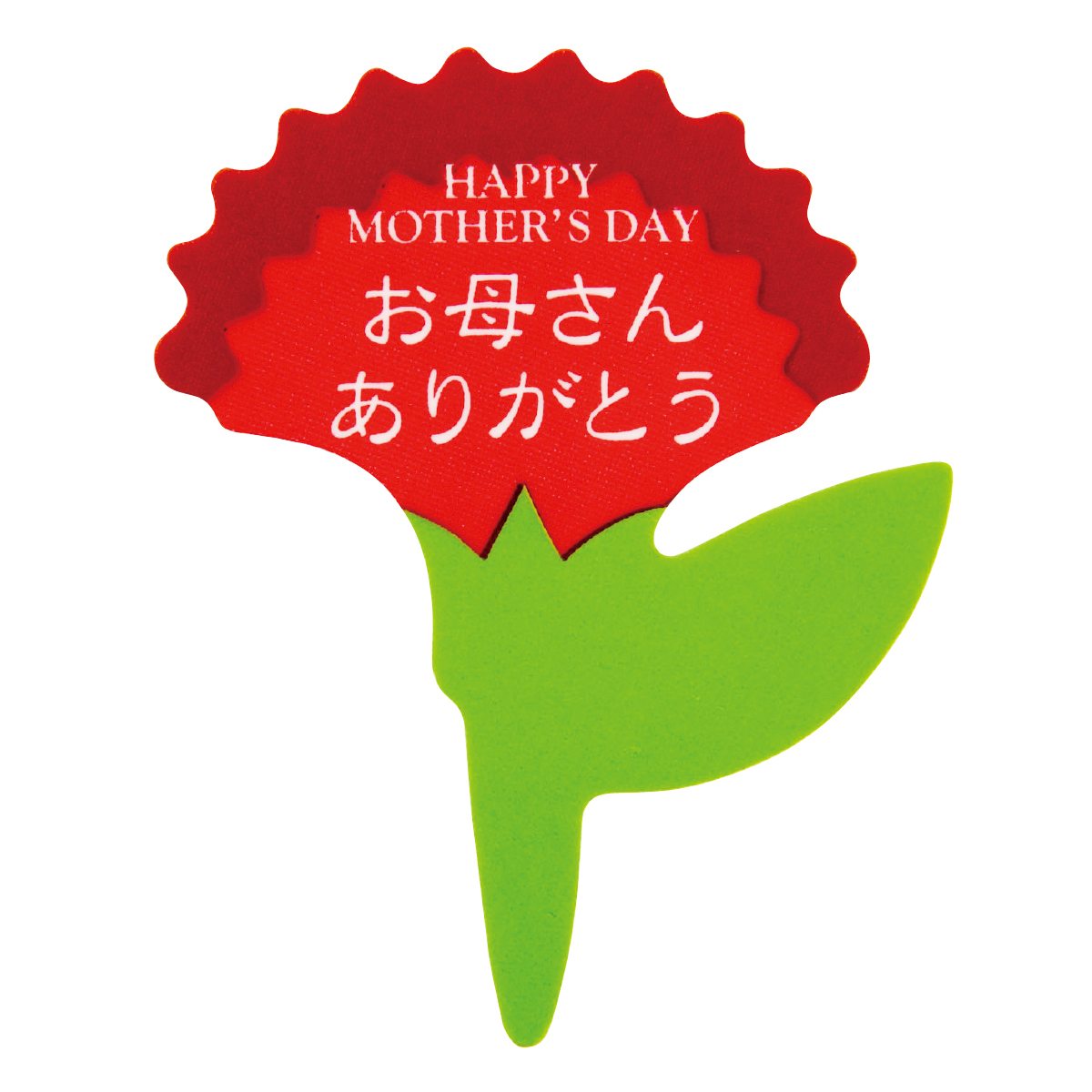 (2)カーネーション