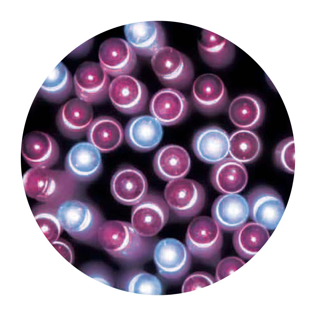 (3)ピンクグラデーション