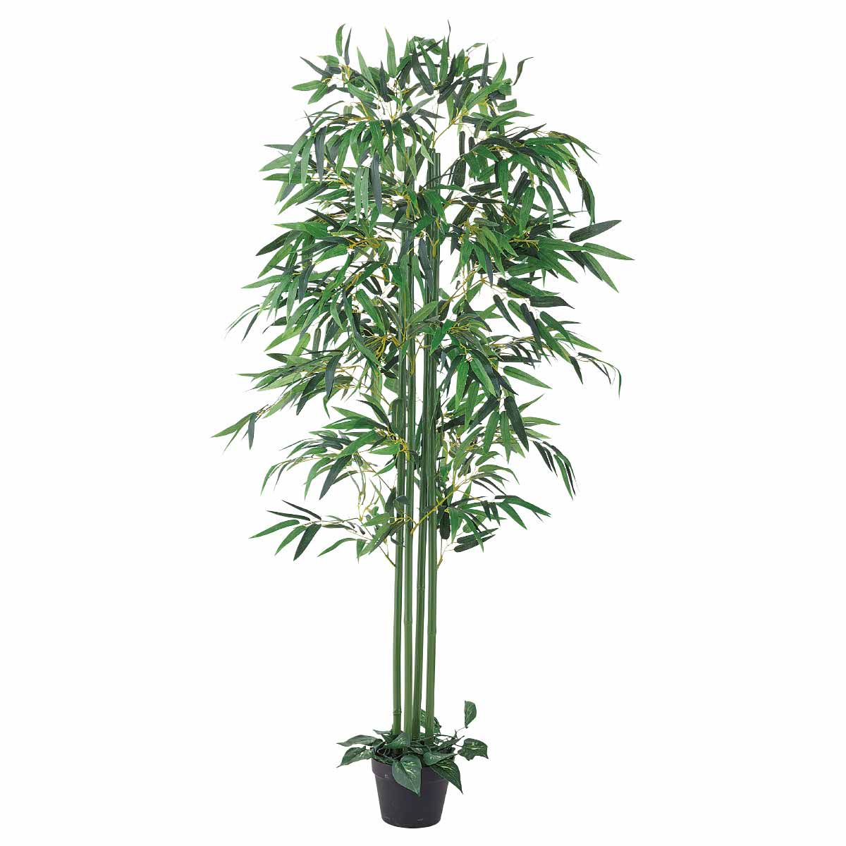 七夕笹バンブー高さ150cm　(人工観葉植物)〔ストエキオリジナル〕