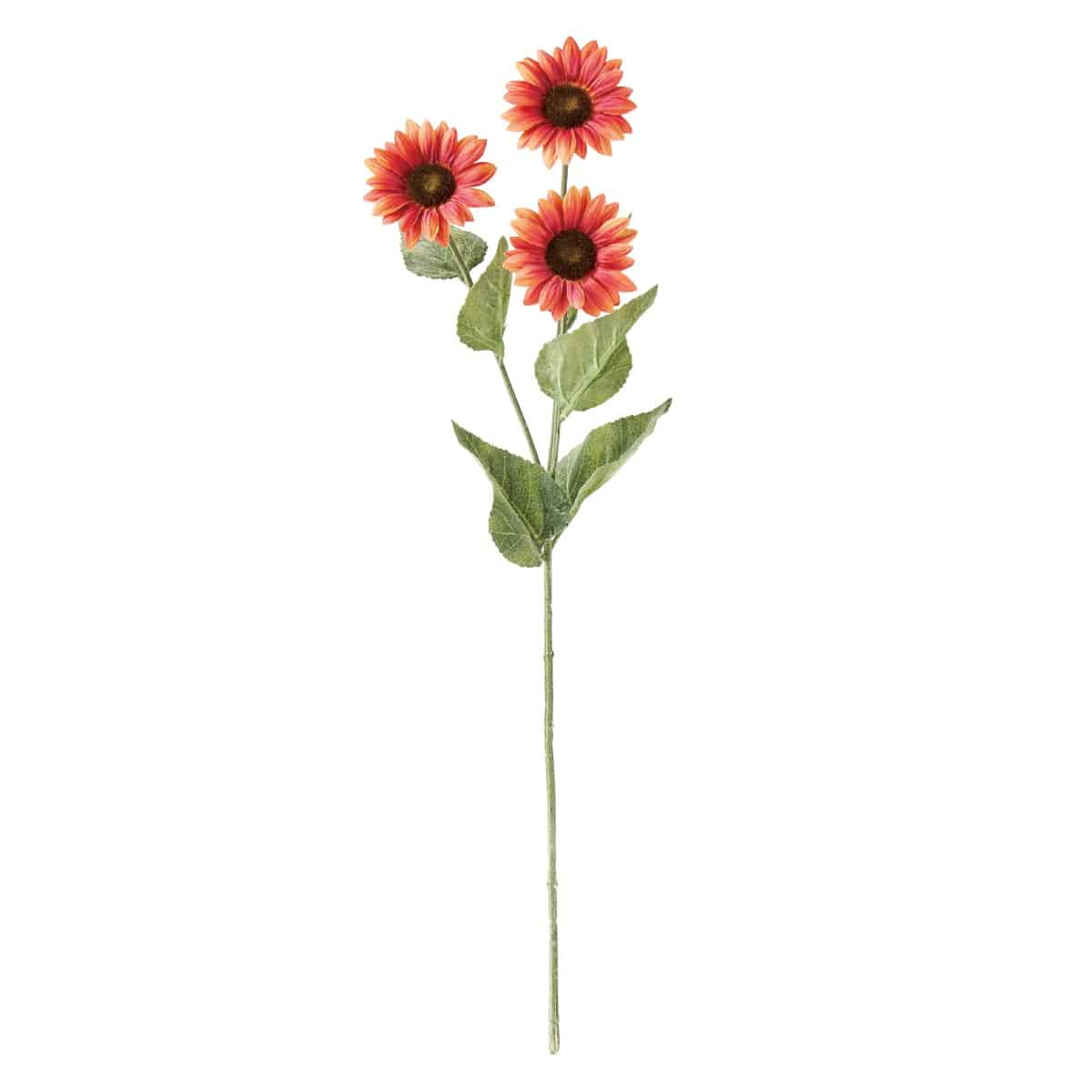 (1)ダークオレンジ