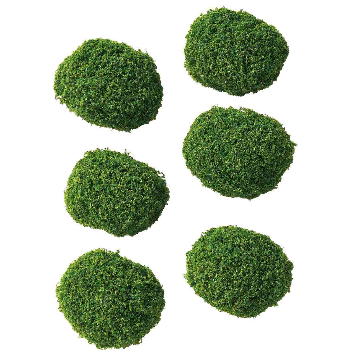 6個 クッションモス